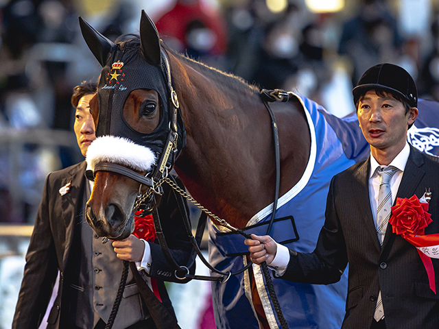 アーモンドアイがキタサンブラックの仔を受胎 合計16冠ベビーに | 競馬