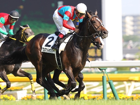 橋口師の悲願叶えた！ワンアンドオンリーが皐月賞馬を下しダービー制覇！/日本ダービー | 競馬ニュース - netkeiba