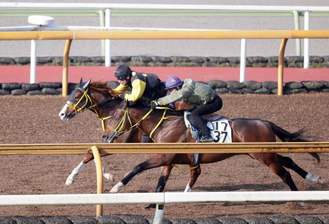 大阪杯】ジャックドール追走併入も藤岡調教師は慎重「ちょっと