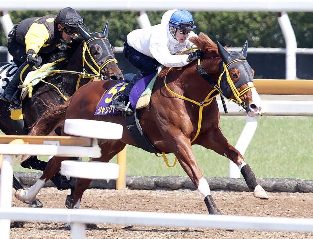 大阪杯】ジャックドールの武豊騎手、前走香港Cは結果出せず「それでも 