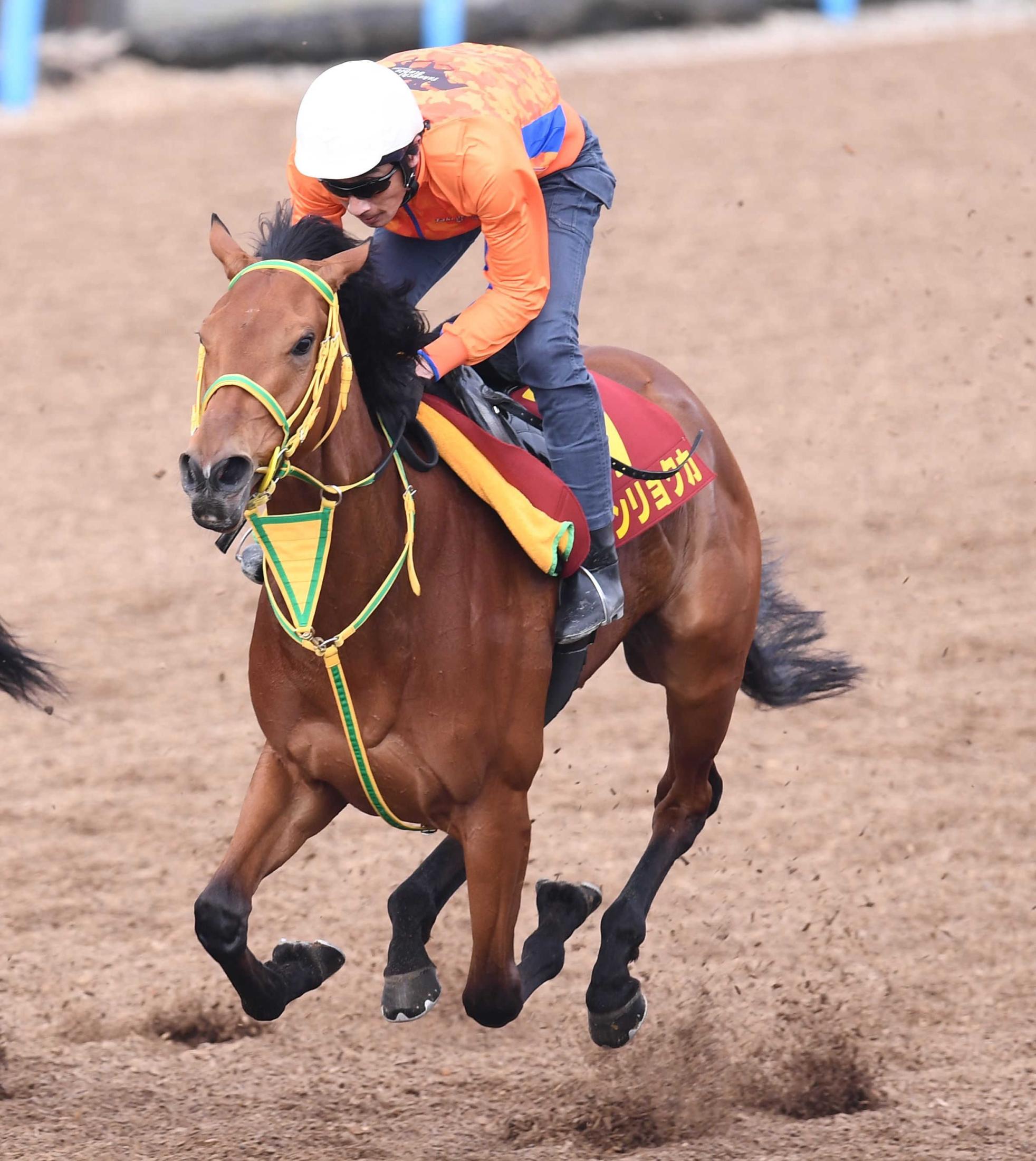 桜花賞】シンリョクカ 運も味方にタイ獲ル リバーラ回避で出走可能に