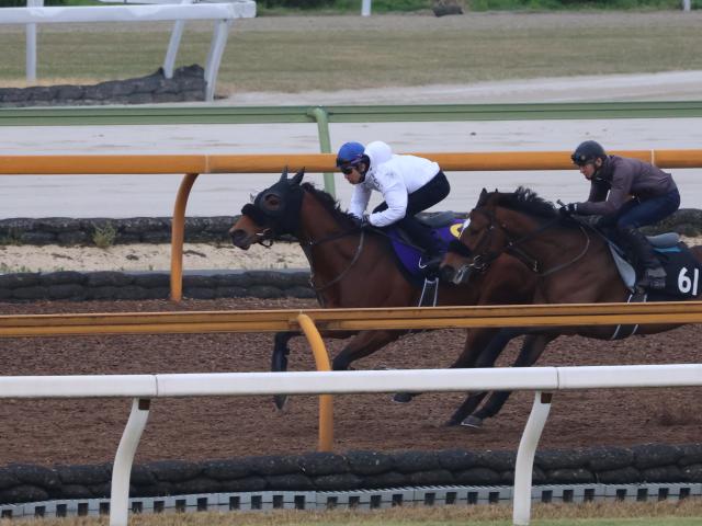 タッチウッド、皐月賞1週前追い切り速報/栗東トレセンニュース | 競馬