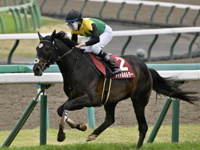 天皇賞(春)想定】タイトルホルダーやアスクビクターモアなど18頭