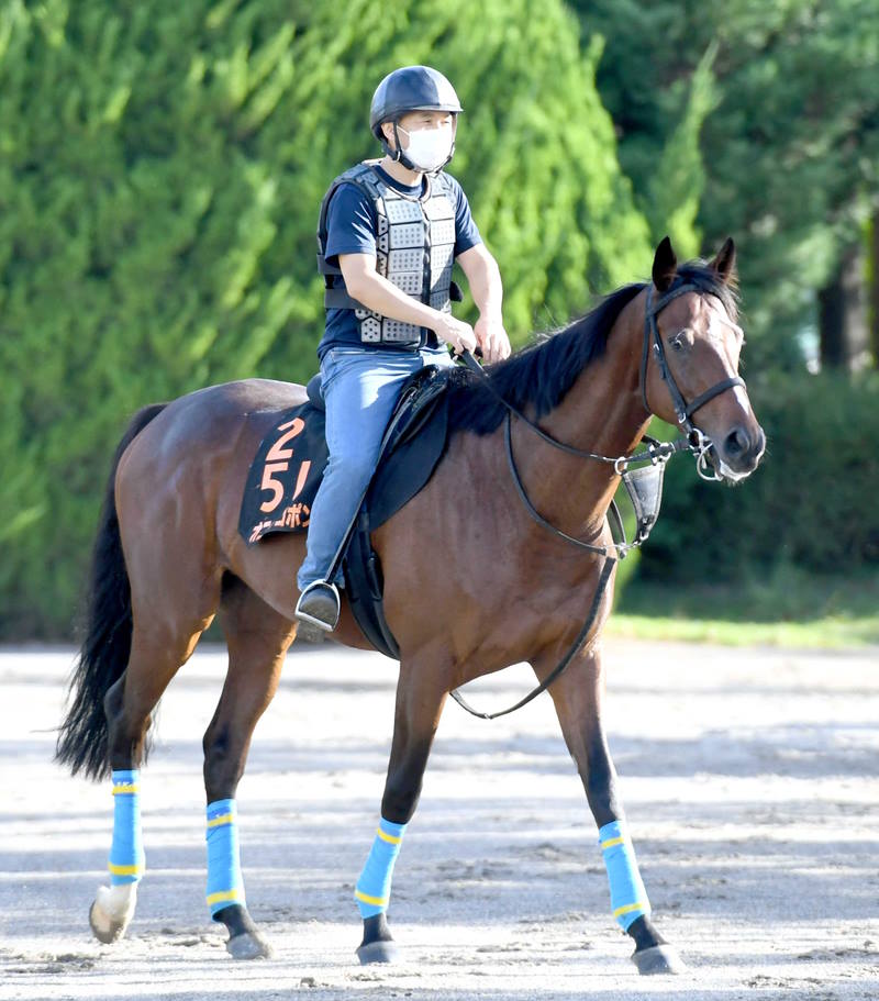 オニャンコポンが右前肢骨折で手術へ マイラーズＣ回避 | 競馬ニュース