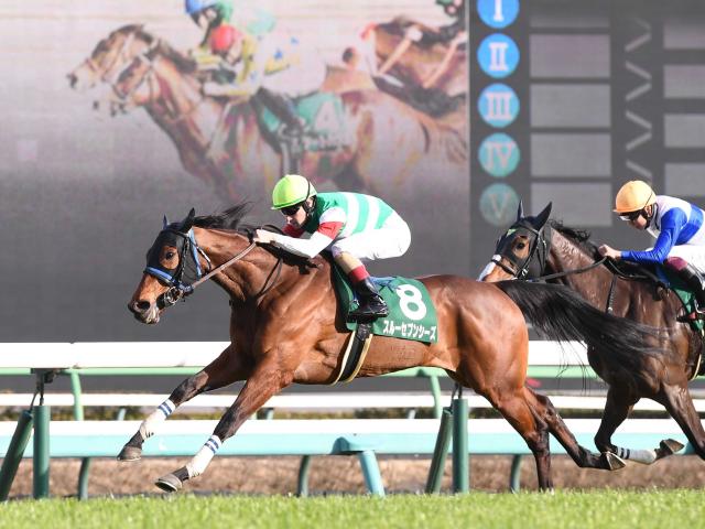 スルーセブンシーズが凱旋門賞登録 | 競馬ニュース - netkeiba