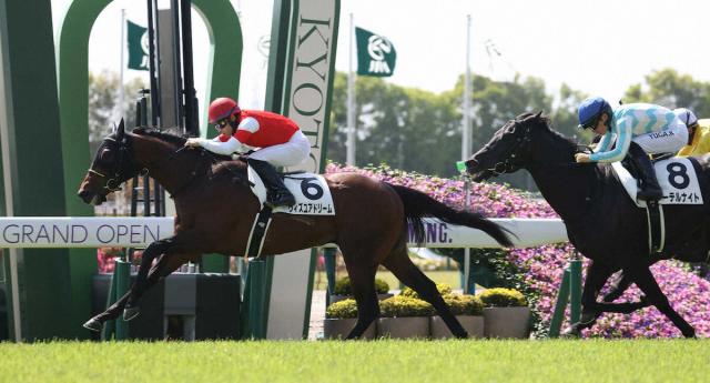 新・京都はウィズユアドリームVで開幕、父は菊花賞馬サトノダイヤモンド 武豊スイープアワーズは3着 | 競馬ニュース - netkeiba