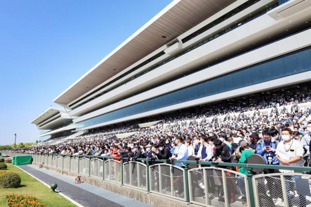 京都競馬場グランドオープンに2万2525人が駆けつける 売り上げは前年