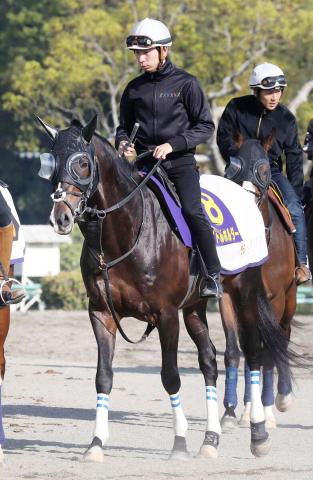 【天皇賞・春】重厚な母に父の速力をプラス タイトルホルダー、初