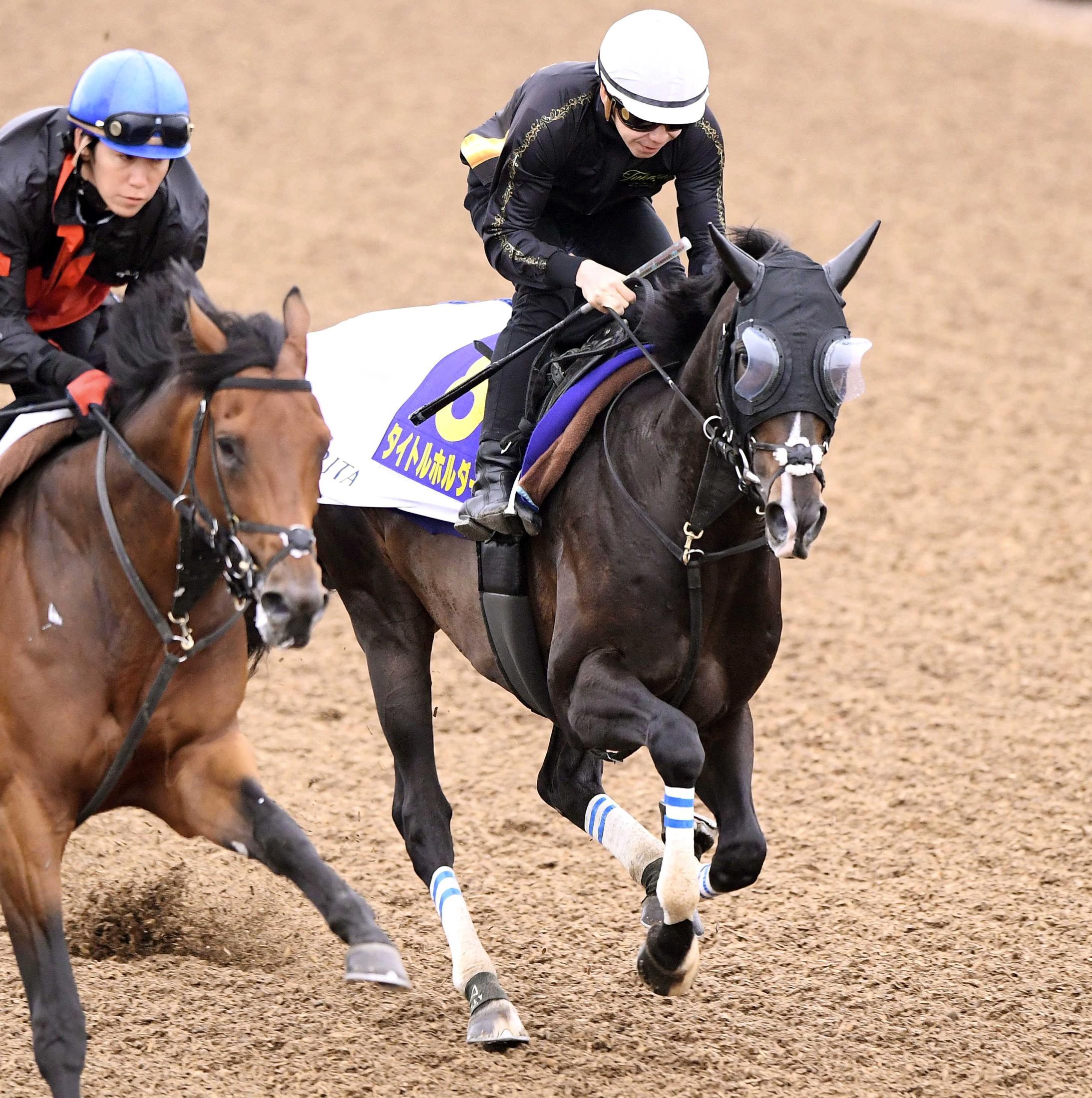 タイトルホルダー 天皇賞勝利記念ベスト - その他