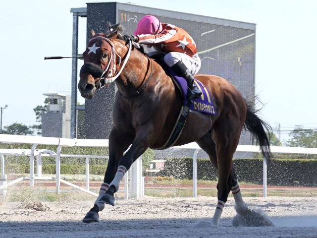 笠松・オグリキャップ記念結果】大井のセイカメテオポリスが接戦を制す