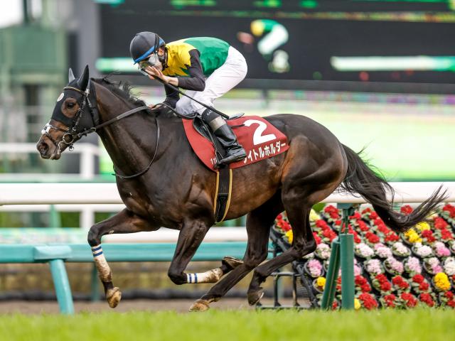 天皇賞・春前日オッズ】タイトルホルダーが1.6倍で1番人気 | 競馬