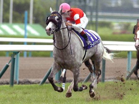 新パートナー・横山典弘騎手に導かれゴールドシップが史上初の連覇達成！/宝塚記念 | 競馬ニュース - netkeiba