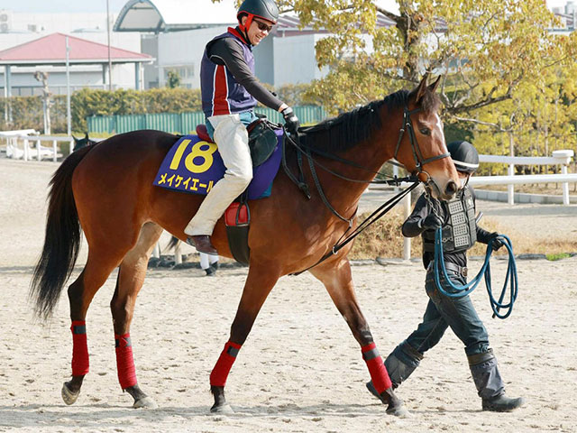 重賞６勝馬メイケイエールが安田記念へ 左前肢フレグモーネで