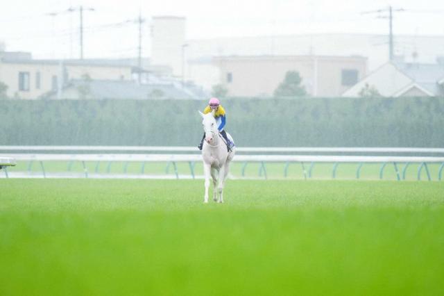 ヴィクトリアM】惜しいソダシ2着 史上3頭目の連覇届かず | 競馬 