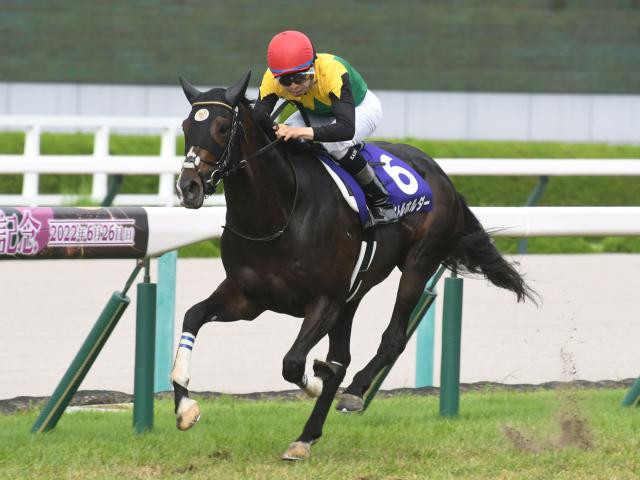 宝塚記念】ファン投票の実施決定！ 18日からWeb限定でスタート | 競馬 