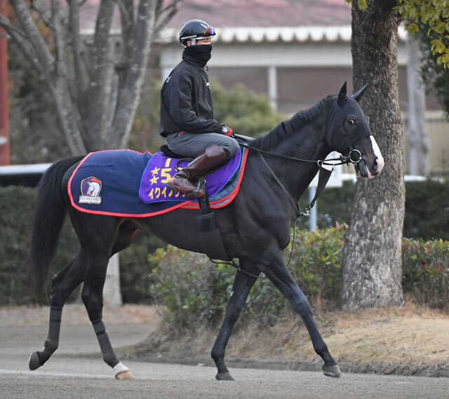 イクイノックスが宝塚記念に参戦決定！ 春秋グランプリ制覇に照準