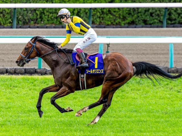 日本ダービー】キタサン産駒はソール＆スキルの豪華2頭出し 同一種牡馬 