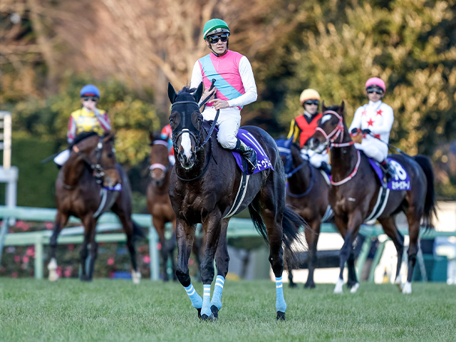 日本ダービー】史上初の父仔3代制覇へ ドゥラメンテ産駒のドゥラエレーデ＆シーズンリッチがチャレンジ | 競馬ニュース - netkeiba