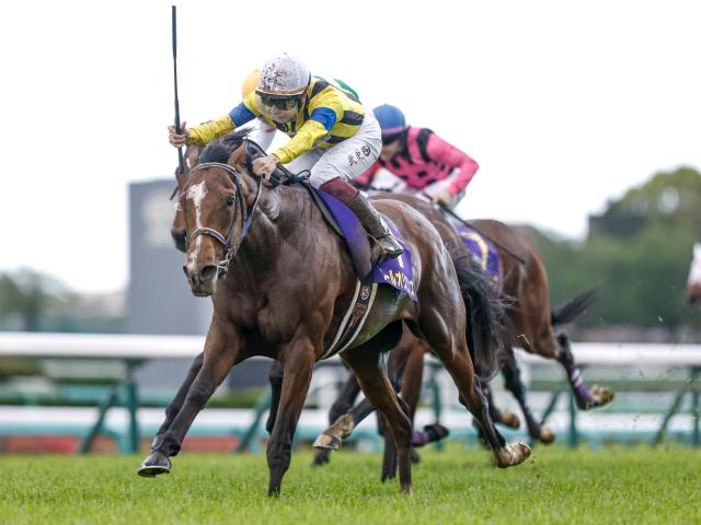 日本ダービー予想オッズ】ソールオリエンスが予想1番人気 | 競馬