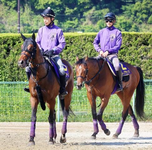 友道厩舎ジャンパー - 趣味、スポーツ、実用