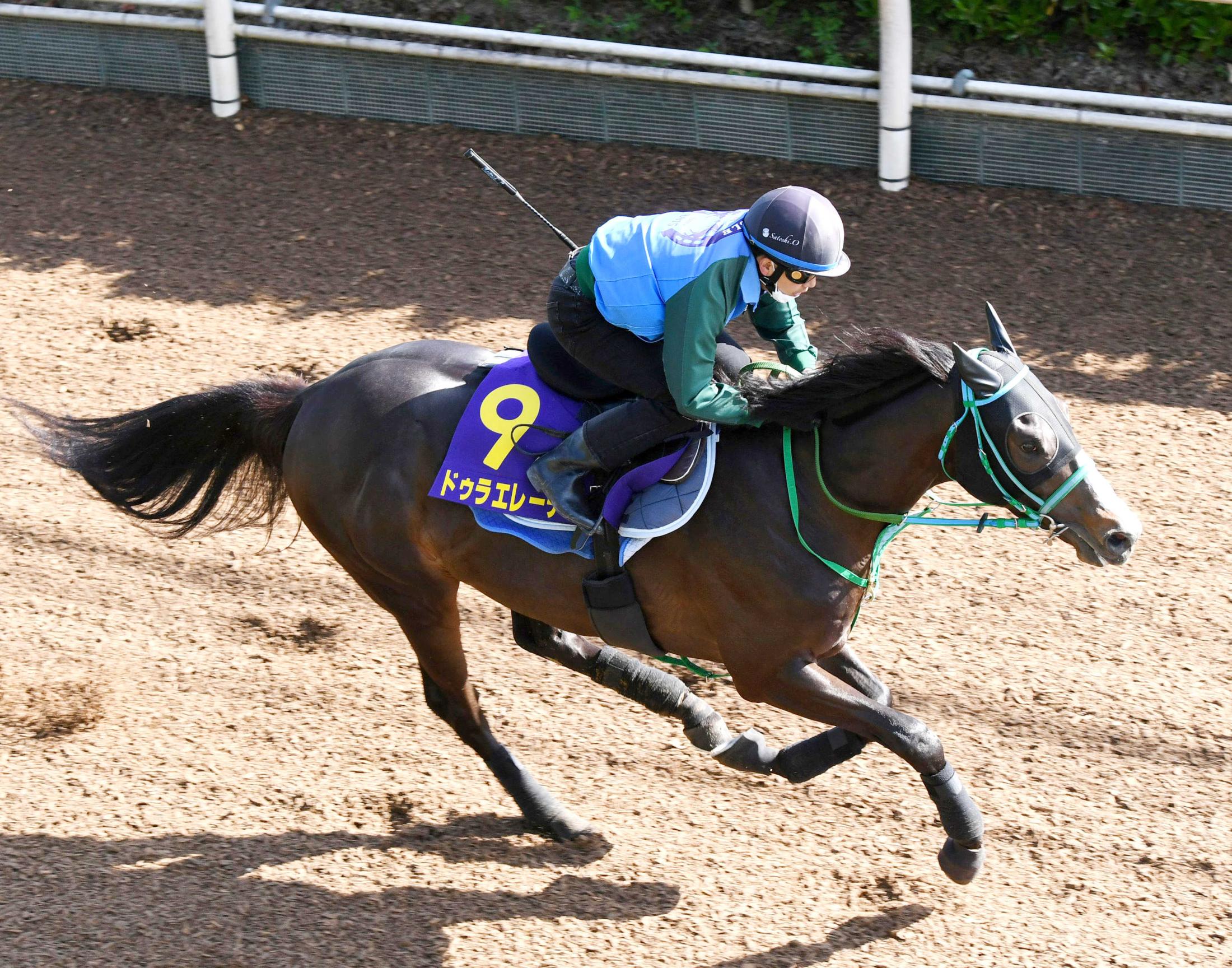 スキルヴィング 馬券 第90回日本ダービー 現地購入 単勝 複勝 - その他