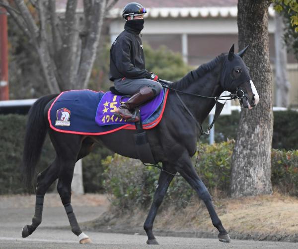 イクイノックスが帰厩 宝塚記念の鞍上は引き続きルメールを予定 | 競馬