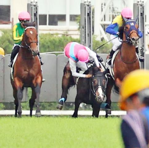 日本ダービー】ドゥラエレーデはスタート直後に落馬…勝ったのは 