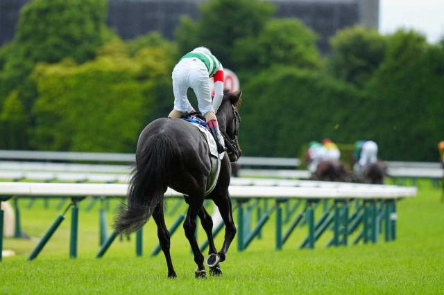 日本ダービー】競馬の祭典で悲劇…2番人気スキルヴィング、急性心不全で死す 17着ゴール後に倒れる | 競馬ニュース - netkeiba