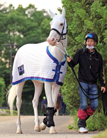 ソダシ 現地 単勝馬券 阪神JF ヴィクトリアマイル 府中牝馬 安田記念 