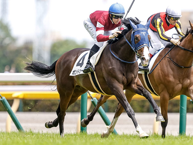 東京5R新馬戦結果】ダノンベルーガの妹ボンドガールがV | 競馬ニュース - netkeiba