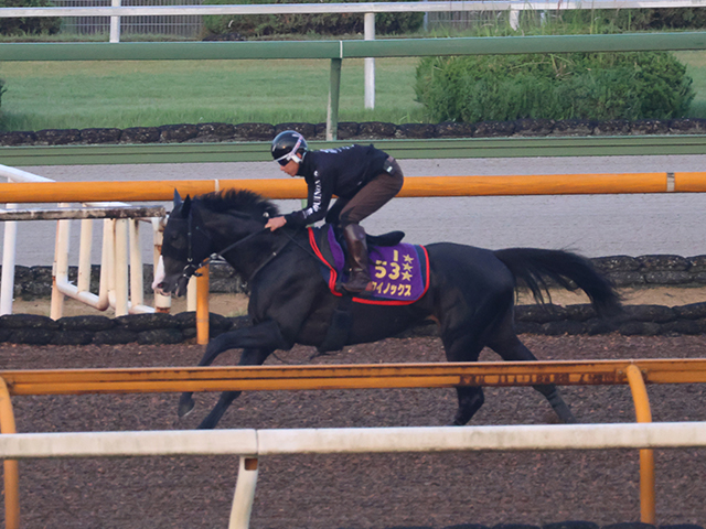 イクイノックス、宝塚記念2週前追い切り速報/栗東トレセンニュース