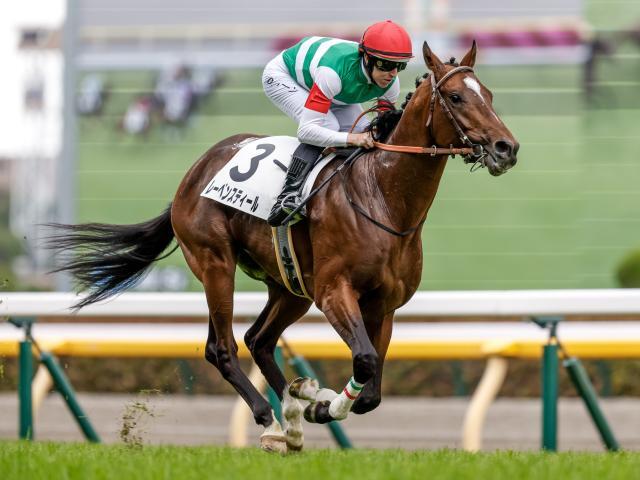 ラジオNIKKEI賞予想オッズ】レーベンスティールが予想1番人気 | 競馬