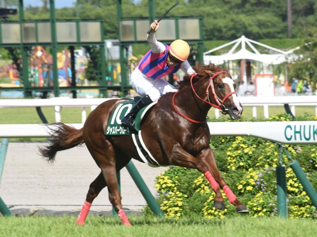 JRA第58回CBC賞 テイエムスパーダ的中単勝馬券 - 競馬