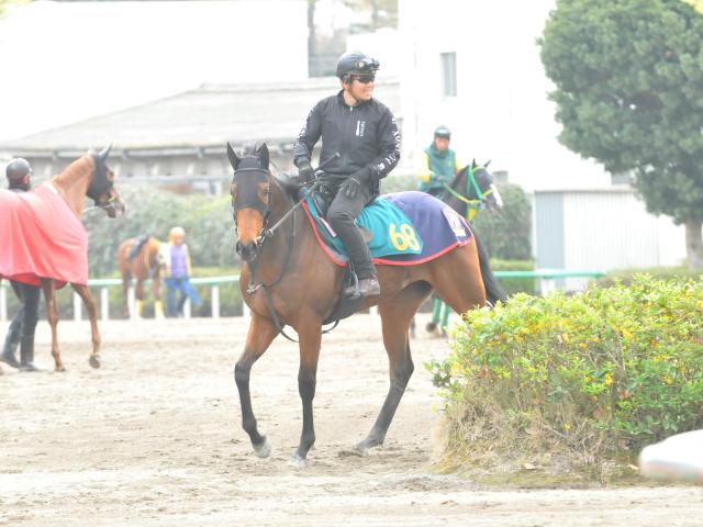 いいモノを持っていることは確か」木村師も期待寄せるレガレイラ/関東