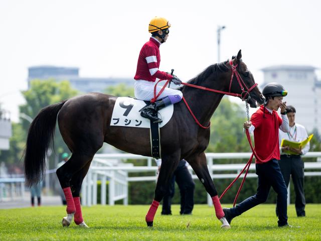 2歳未勝利函館1Rレース後コメント】ブシン武豊騎手ら | 競馬ニュース - netkeiba