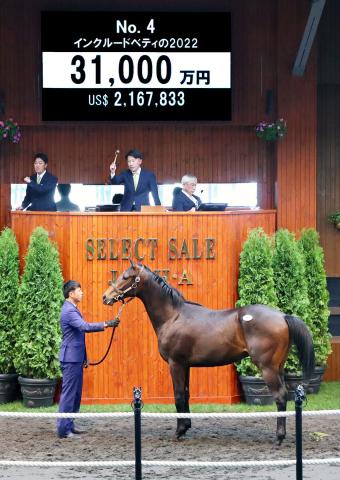 イクイノックスまとめ売り イクイノックス産駒まだ走ってないのに…」最高額2500万円の種牡馬父子