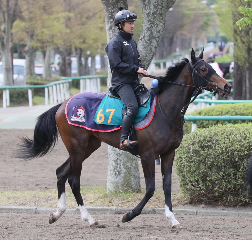 乗馬長靴 ブーツメーカーフセ オーダーブーツ 馬場馬術長靴 乗馬ブーツ 