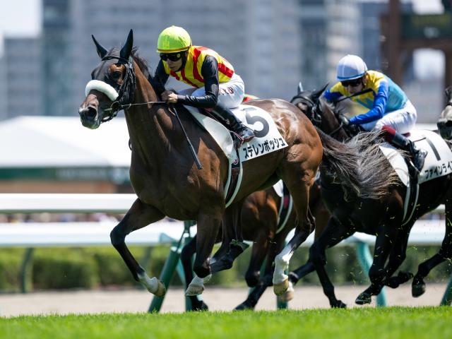 札幌5R新馬戦結果】2番人気のステレンボッシュが差し切りV！ | 競馬 