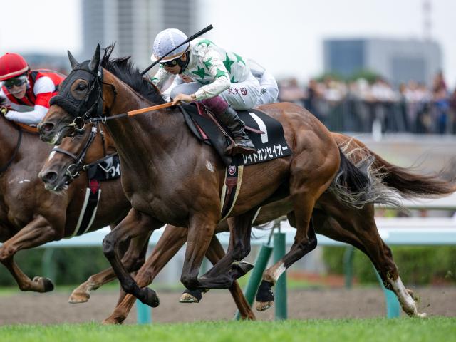 HTB賞レース後コメント】レイトカンセイオー横山武史騎手ら | 競馬 