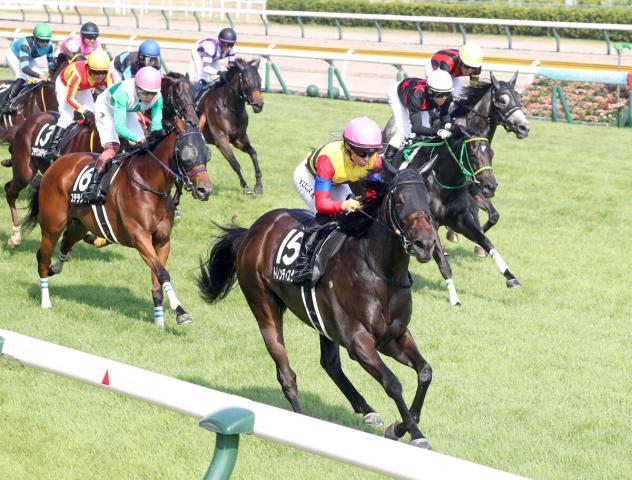 川田将雅騎手がJRA通算1919勝目 藤田伸二元騎手を抜き歴代9位に浮上 | 競馬ニュース - netkeiba