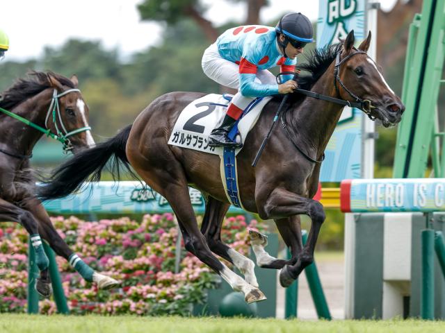 新潟5R新馬戦結果】イクイノックスの半妹ガルサブランカがデビューV！ | 競馬ニュース - netkeiba