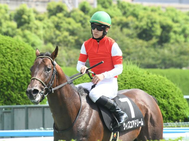 包装・送料無料 日刊スポーツ競馬ページ 2023年1〜8月 46枚 - コレクション