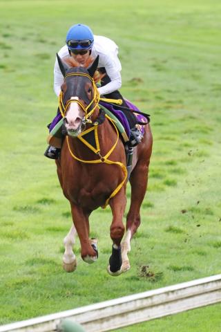 札幌記念】レジェンドも絶賛のジャックドール 武豊騎手「さすがだなと 