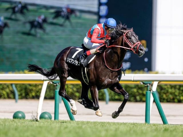 阿賀野川特別レース後コメント】リビアングラス吉田豊騎手ら | 競馬