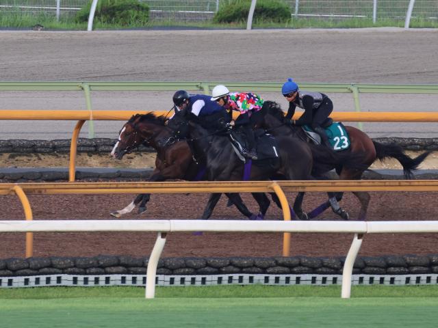 一昨年イクイノックスらが出走した新馬戦 今年は新種牡馬シュヴァルグラン産駒などが参戦/関西馬メイクデビュー情報 | 競馬ニュース - netkeiba