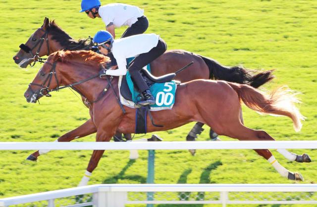 【当選品】札幌競馬場　札幌2歳ステークス　レプリカゼッケン　ガイアメンテ　武豊