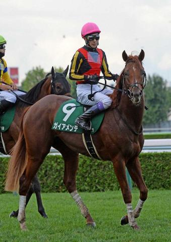 【当選品】札幌競馬場　札幌2歳ステークス　レプリカゼッケン　ガイアメンテ　武豊