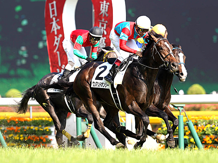 ダービー馬ワンアンドオンリーが2冠獲りへ向け出陣/神戸新聞杯の