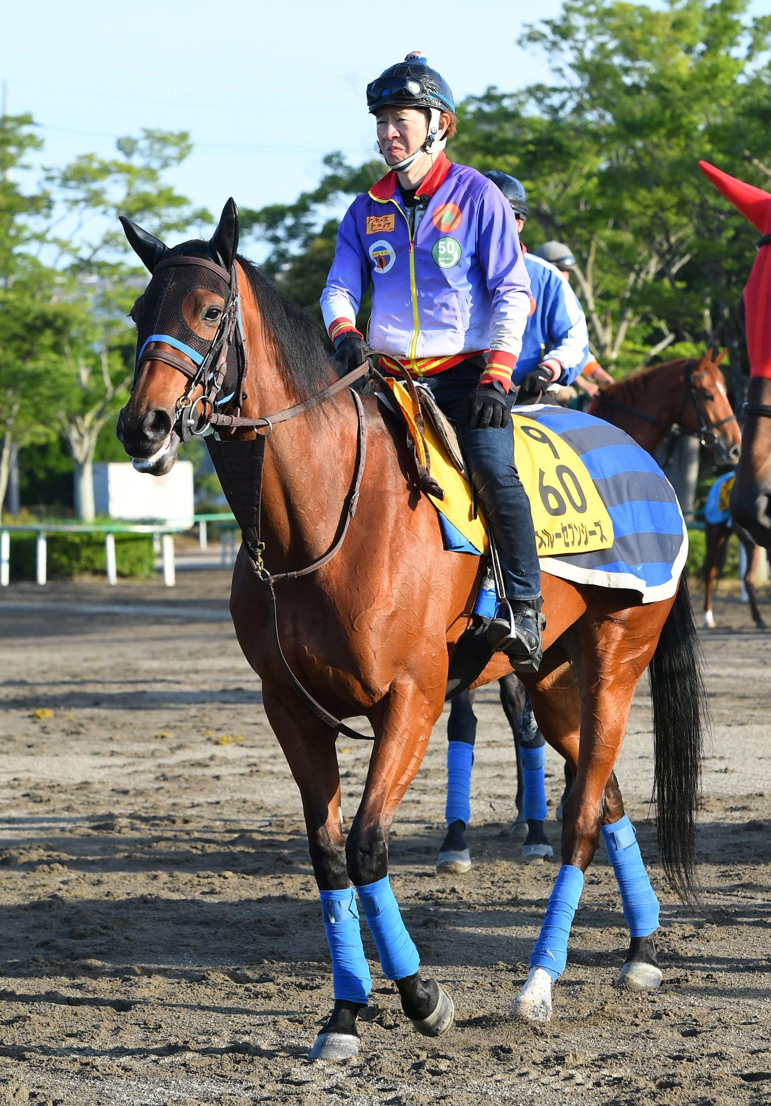 １カ月後に迫る凱旋門賞 日本馬スルーセブンシーズの勝機は？ | 競馬ニュース - netkeiba