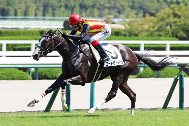 阪神2R・2歳未勝利】ブエナビスタの近親コートリーバウが逃げ切る 池添謙一騎手「リズム良く運べた」 | 競馬ニュース - netkeiba